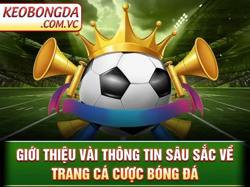 Giới Thiệu Kèo Bóng Đá - Giới thiệu vài thông tin sâu sắc về trang cá cược bóng đá