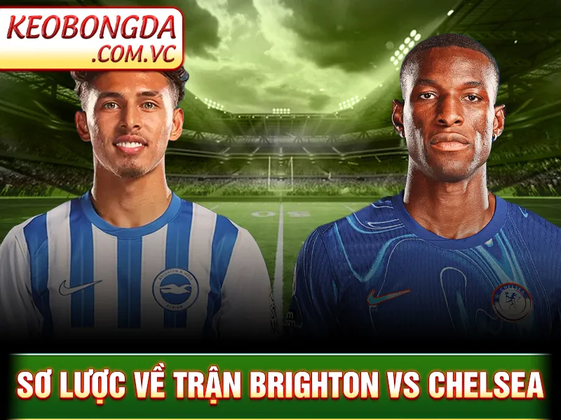 Brighton Vs Chelsea: Cuộc Đụng Độ Đầy Tính Chiến Thuật 2 Sơ lược về trận Brighton vs Chelsea