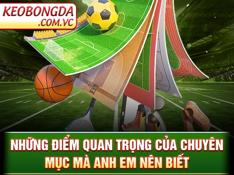 Những điểm quan trọng của chuyên mục mà anh em nên biết
